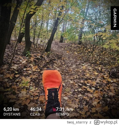 twoj_starrry - 7 983,60 - 6,20 = 7 977,40

Spokojny bieg po lesie, podejścia pod pagó...