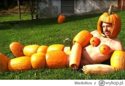 WielkiNos - @placebo_