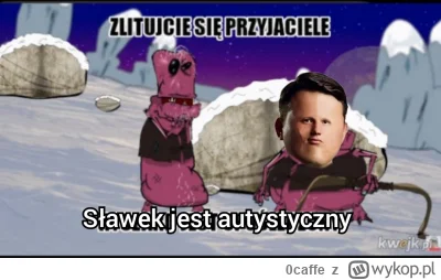 0caffe - #wybory #heheszki #bekazkonfederacji #polityka