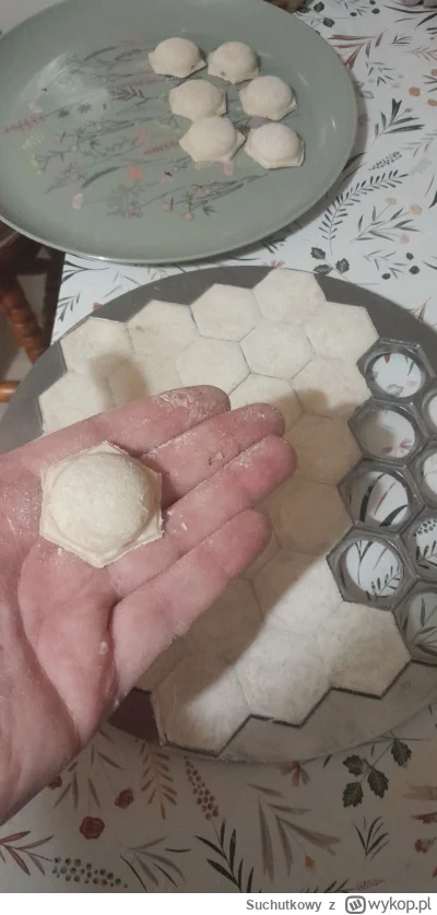 Suchutkowy - @Anoniemamowy musimy kiedyś kooperację zrobić. Ty ramen a ja pierożki do...