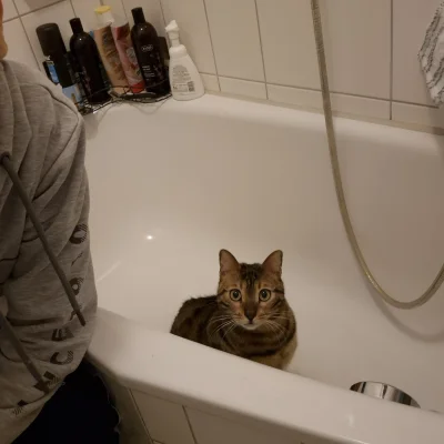 Lujdziarski - #pokazkota #dziarskikacperek Że niby towarzysz xD