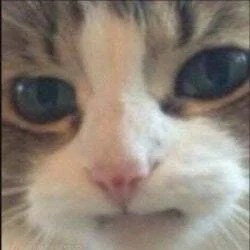 Al-3_x - Mam osobiste wrażenie, że większość romantycznych przegrywów ciągle piszącyc...