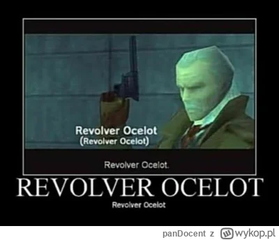 panDocent - Jak patrzysz na pierwsze kilka sekund to wygląda to tak (⌐ ͡■ ͜ʖ ͡■)