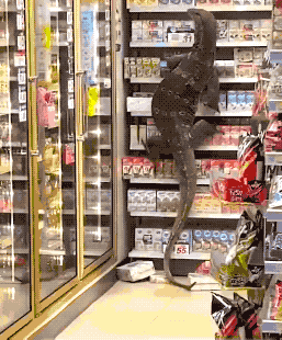 wfyokyga - Lagun uspokój się