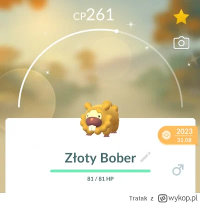 Tratak - A tu jeszcze takie cudo (⌐ ͡■ ͜ʖ ͡■)