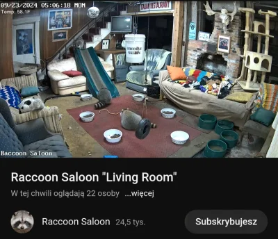 boolProptestingCheatsEnabledtrue - @GibolXD Nie no, ja jestem odpowiedzialny za Racco...