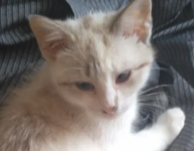 -Instruktor - @simpiara: