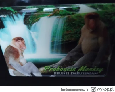 histaminapusz - Znajomy ma na lodówce taki magnes, zapytałem go więc: 
- wir śmierdzi...