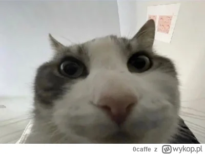 0caffe - @Jarkendarion 
New web browser 
Look inside
Chromium