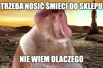 Nighthuntero - #polska #konkursnanajbardziejgownianymemznosaczem #systemkaucyjny