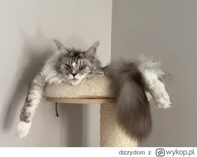 dizzydom - @TouchMTraLaLa pozdrawiam z tego samego drapaka