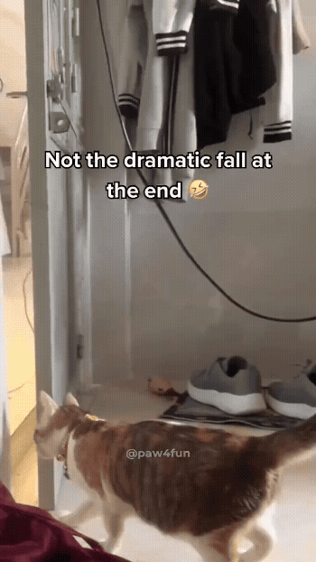 jestemtakizmeczony - @jestemtakizmeczony: