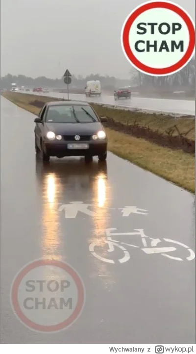 Wychwalany - @sargento: podobnie po chodniku https://www.facebook.com/reel/1335858567...