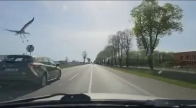 Waldi890 - A CÓŻ TO ZA LAJT A I KOGO ?  ( ͡º ͜ʖ͡º) #kononowicz #patostreamy