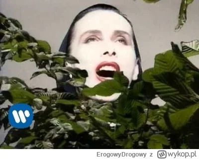 ErogowyDrogowy - Dlaczego w tym roku maj jest tak zimny i pochmurny i w ogóle za prze...