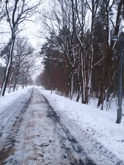 SmutnyScrollownik - #przegryw #spierdotrip