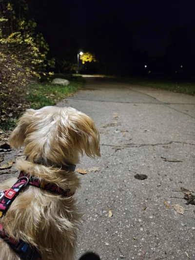 Jashon_Statham - Nocne podróże małe i duże (｡◕‿‿◕｡)
#przegryw