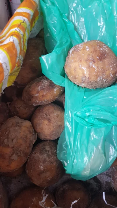 erebeuzet - ziemniaki kupione wczoraj w #biedronka
smacznego