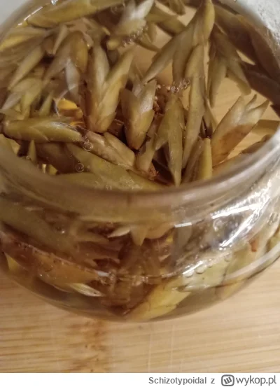 Schizotypoidal - UPDATE:
Jednak jest popićko! Herbata Ya Bao taka z pączków. Letko os...