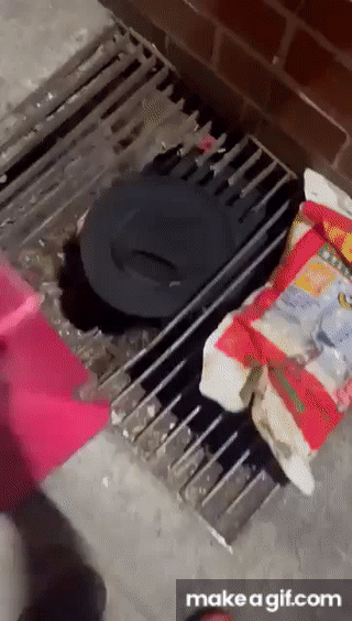 Strigon - @kiedykwitniegrudnik: o tak discordziaki na tag wchodzą