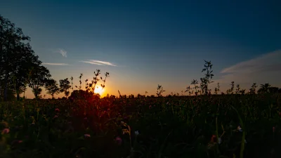 MateMizu - Zdjęcie łąki mi się spodobało co sobie zrobiłem więc wrzucam, chociaż nie ...