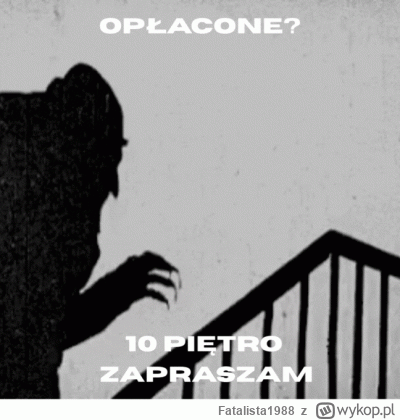 Fatalista1988 - #danielmagical #patostreamy #chlopakizraszei #raszei #famemma