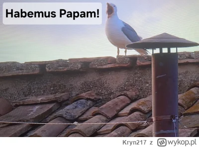 Kryn217 - #konklawe #papiez