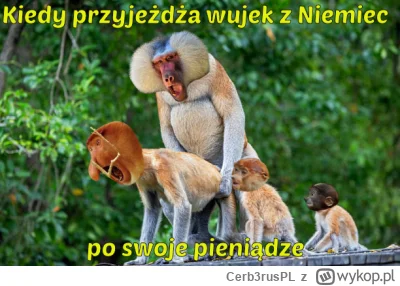 Cerb3rusPL - @pawello321: można i tak