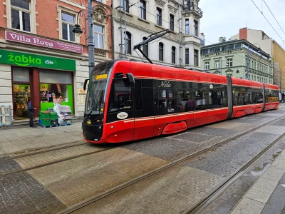 d.....a - #tramwaje #tramwajeslaskie #komunikacjamiejska
Oh Nela. Piękna Nela.
Duża j...