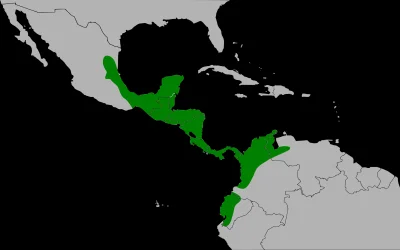 Lifelike - Zasięg występowania: