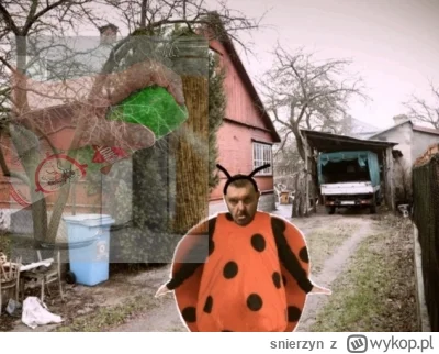 snierzyn - @kubinka0505: