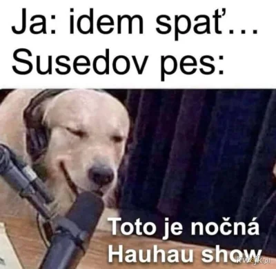 Bpnn - @Maniek145: lepsza wersja #czeskiememy