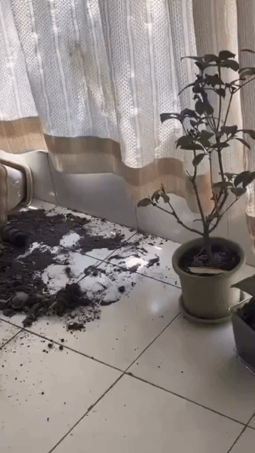 jestemtakizmeczony - @jestemtakizmeczony: