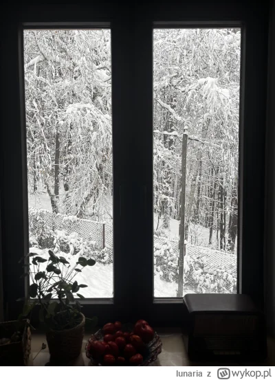 lunaria - Wczoraj już było sporo, ale przez noc dowaliło (✌ ﾟ ∀ ﾟ)☞ #snieg #zima #mal...