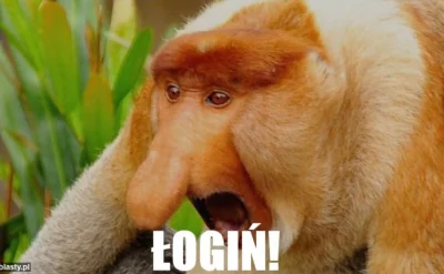 derivatives - @fishery: