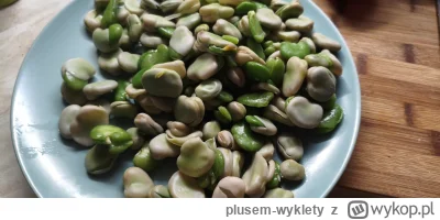 plusem-wyklety - #gotujzwykopem  Czy 0,5 czy 1 kg... Bez różnicy. Nacinam każdą fasol...