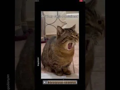 Solsith - #pokazkota #spaslak zajumali
mi bułke乁(♥ ʖ̯♥)ㄏ https://youtube.com/shorts/...