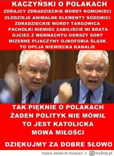 Salam-Abdul-Al-Stulejari - Jarek Kaczyński o Polakach: 2/365

#pis #4konserwy #neurop...