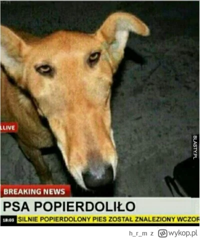 hrm - @hibiskusmiumieraa odnośnie do: