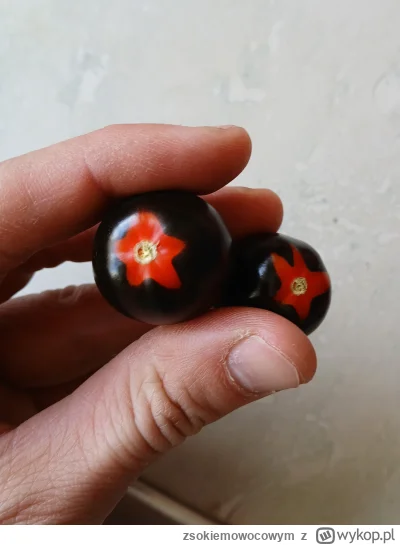 zsokiemowocowym - Moje robotnicze, zniszczone dłonie wychodowały te oto rewolucyjne p...