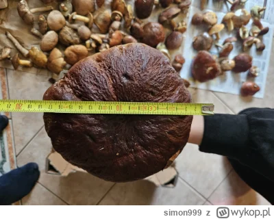 simon999 - A się pochwale jako że nigdy w życiu jeszcze nie znalazłem takich wielkich...