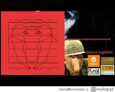 HeruMerenbast - Utwór "Idzie Wir" zespołu Pniak, z ich najnowszego albumu "Nowa Szczu...