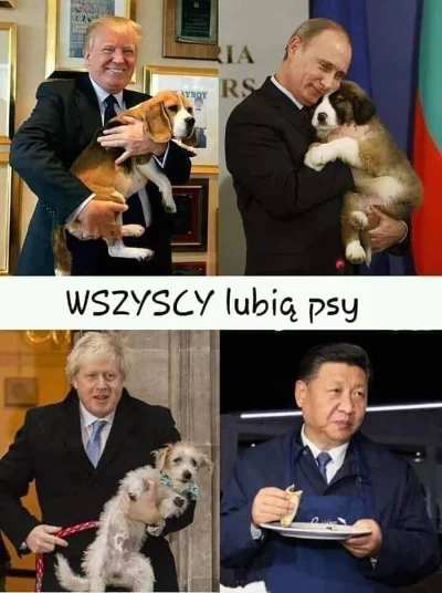 kotwlesie1 - #heheszki #psy