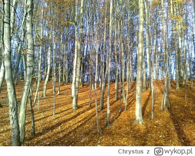Chrystus - Kupiłem sobie w końcu drukareczkę do zdjęć i znowu będę się bawił w fotogr...