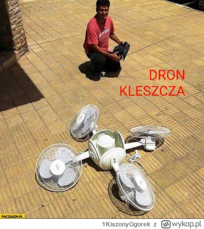 1KiszonyOgorek - #raportzpanstwasrodka 
 mgr.inż. lotnictwa kleszcz z 
mgr.kamerdyner...