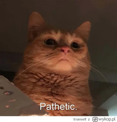 trueself - to jest korekta? to jakas popierdółka. kiedyś to były korekty kurła.
#bitc...