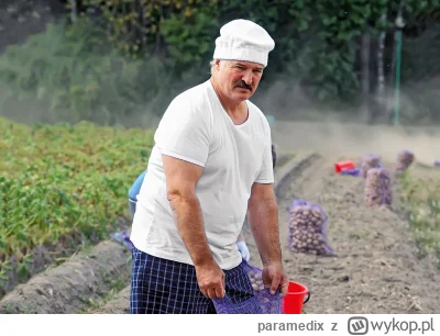 paramedix - >:nie zapominaj o wyrzutniach ziemniaków

@sztygar: które trzeba najpierw...