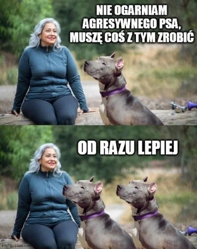 KociaraWiki - nikim tak nie gardze jak babami z pitbullami #psiarze