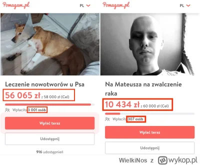 WielkiNos - @michalxd21 już kiedyś o tym pisałam. Te zrzutki to teraz głównie wyłudza...