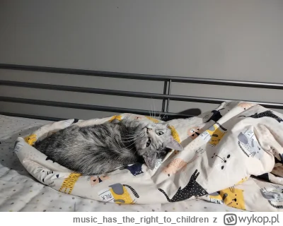 musichastherighttochildren - @musichastherighttochildren ehh, to też
